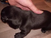 processed/6768cad0-560c-4553-b210-c957b21572a4/listing/cafe212b-0be8-4325-9d84-d4966474a3d2/f9de0753-5554-4409-8934-fbe6213f0607