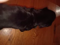 processed/6768cad0-560c-4553-b210-c957b21572a4/listing/d4ce1907-9b52-4d40-9074-00c34cc867b9/af7b24b2-a633-4b76-b6e7-e4c3b417a6d1