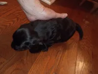 processed/6768cad0-560c-4553-b210-c957b21572a4/listing/d4ce1907-9b52-4d40-9074-00c34cc867b9/dbb38f9c-5c94-4ff0-8b42-40c4bf07316a