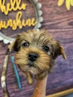 processed/676f8652-df57-45ca-b23a-37b8902572a4/facility/2823d7e4-1df7-4d5c-966c-743624b92d2d