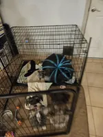 processed/676f8652-df57-45ca-b23a-37b8902572a4/facility/28fc6a1e-fcee-4e1d-9d4c-46b991329a30