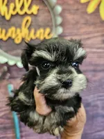 processed/676f8652-df57-45ca-b23a-37b8902572a4/facility/365ac68d-8f0e-4656-a088-454895fe2a20