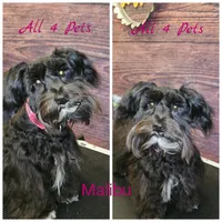 processed/676f8652-df57-45ca-b23a-37b8902572a4/facility/484acb03-53ce-4b93-a50b-6194aa3a07af