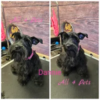 processed/676f8652-df57-45ca-b23a-37b8902572a4/facility/4fe637b6-b235-4d0a-b7a2-b8b1605ebe8b