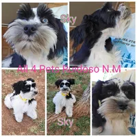 processed/676f8652-df57-45ca-b23a-37b8902572a4/facility/5c2fa3e0-8674-48db-a706-8ade40eb00fc