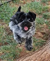 processed/676f8652-df57-45ca-b23a-37b8902572a4/facility/5dfde100-baaa-454a-8af0-0dc057622048