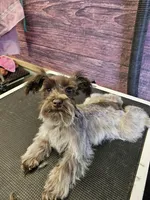 processed/676f8652-df57-45ca-b23a-37b8902572a4/facility/cd43502f-ccc2-47c7-a623-1a2678683e11