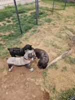 processed/676f8652-df57-45ca-b23a-37b8902572a4/facility/d808491a-8e3e-4a76-8216-cdc34b220b47