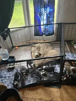 processed/67901afd-54d5-4e60-bf1c-ab9a671cd86e/facility/94aad1b7-f1f3-4a9e-8e97-2acccf20ec21