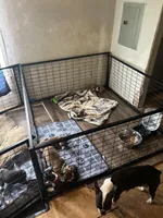 processed/67901afd-54d5-4e60-bf1c-ab9a671cd86e/facility/9958ab87-13e7-42a0-9416-9c45c4d84e0b