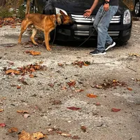 processed/6799ed88-1d8e-40c1-a0b7-de8a5839531a/facility/1ed1c5df-5f2c-44e0-a153-81f6b2ee5a96