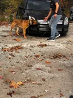 processed/6799ed88-1d8e-40c1-a0b7-de8a5839531a/facility/1ed1c5df-5f2c-44e0-a153-81f6b2ee5a96