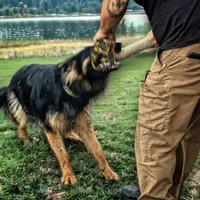 processed/6799ed88-1d8e-40c1-a0b7-de8a5839531a/facility/2e738061-7921-4f76-a74c-32fa60b32423