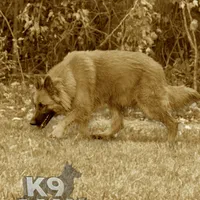 processed/6799ed88-1d8e-40c1-a0b7-de8a5839531a/facility/7266db15-ac6e-41db-8c5c-0a139d67b215