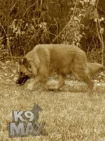 processed/6799ed88-1d8e-40c1-a0b7-de8a5839531a/facility/7266db15-ac6e-41db-8c5c-0a139d67b215