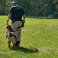 processed/6799ed88-1d8e-40c1-a0b7-de8a5839531a/facility/99d50ece-23d8-4a7e-b1bb-d693a3f6843a