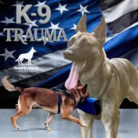 processed/6799ed88-1d8e-40c1-a0b7-de8a5839531a/facility/b6415fa3-76a3-45ce-8e78-391ed7a41491