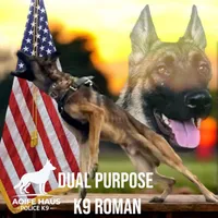 processed/6799ed88-1d8e-40c1-a0b7-de8a5839531a/facility/c779f708-18ea-429b-ba47-d2b6c2f481ef