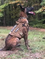 K9 FAFO X K9 Pepper , a  Belgian Malinois and Dutch Shepherd for sale in Columbus, IN – 3 of 6