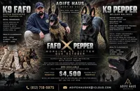 K9 FAFO X K9 Pepper , a  Belgian Malinois and Dutch Shepherd for sale in Columbus, IN – 1 of 7
