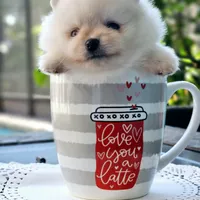 processed/679b1ee7-5b17-4d70-a120-afb70a466679/facility/2def5a02-d572-4184-9cf7-6362ae0379d2