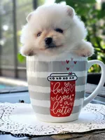 processed/679b1ee7-5b17-4d70-a120-afb70a466679/facility/2def5a02-d572-4184-9cf7-6362ae0379d2