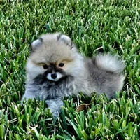 processed/679b1ee7-5b17-4d70-a120-afb70a466679/facility/683e0a88-c37d-46c1-b739-bef4a476351e