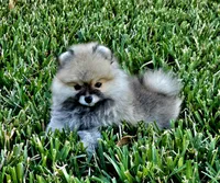 processed/679b1ee7-5b17-4d70-a120-afb70a466679/facility/683e0a88-c37d-46c1-b739-bef4a476351e