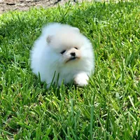 processed/679b1ee7-5b17-4d70-a120-afb70a466679/facility/7563e21f-f7cc-48b5-a4f2-14a5be450b13