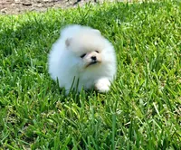 processed/679b1ee7-5b17-4d70-a120-afb70a466679/facility/7563e21f-f7cc-48b5-a4f2-14a5be450b13