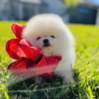 processed/679b1ee7-5b17-4d70-a120-afb70a466679/facility/788f58b9-0b41-48aa-b009-23c3054896d1