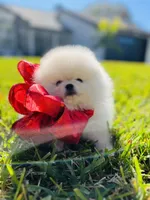 processed/679b1ee7-5b17-4d70-a120-afb70a466679/facility/788f58b9-0b41-48aa-b009-23c3054896d1