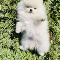 processed/679b1ee7-5b17-4d70-a120-afb70a466679/facility/91c51711-24a8-4a04-ae94-58f4cabcaf4d