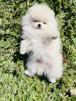 processed/679b1ee7-5b17-4d70-a120-afb70a466679/facility/91c51711-24a8-4a04-ae94-58f4cabcaf4d