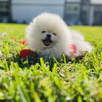 processed/679b1ee7-5b17-4d70-a120-afb70a466679/facility/94c35054-e28d-4777-9111-28814fcd019f