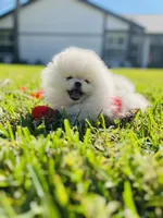 processed/679b1ee7-5b17-4d70-a120-afb70a466679/facility/94c35054-e28d-4777-9111-28814fcd019f