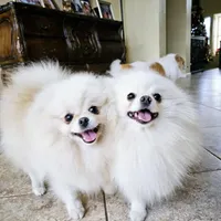 processed/679b1ee7-5b17-4d70-a120-afb70a466679/facility/a4088429-0afd-4ac9-9625-8628cb99622f