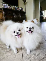 processed/679b1ee7-5b17-4d70-a120-afb70a466679/facility/a4088429-0afd-4ac9-9625-8628cb99622f