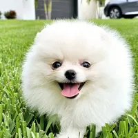 processed/679b1ee7-5b17-4d70-a120-afb70a466679/facility/ea5e5933-7995-4008-ae2b-d8c37008cd3b