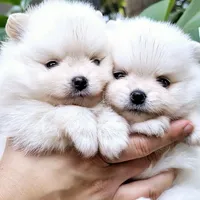 processed/679b1ee7-5b17-4d70-a120-afb70a466679/facility/f36f15b0-317d-41d8-aad6-c6c236f611ea