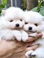 processed/679b1ee7-5b17-4d70-a120-afb70a466679/facility/f36f15b0-317d-41d8-aad6-c6c236f611ea