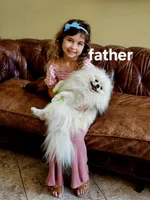 Vanilla Ice Cream, a male Pomeranian for sale in Tampa, FL – Photo 7 of 7