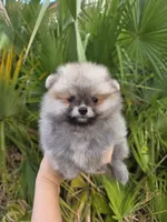 processed/679b1ee7-5b17-4d70-a120-afb70a466679/listing/f95f49b0-94d8-4346-8948-269fc0210ae2/222d09c1-0512-4cbf-a7dc-651cc6a0342a