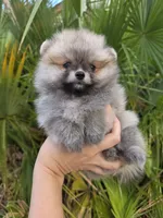 processed/679b1ee7-5b17-4d70-a120-afb70a466679/listing/f95f49b0-94d8-4346-8948-269fc0210ae2/22309522-609c-4408-abbd-811dd3e2faa1