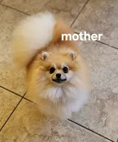 processed/679b1ee7-5b17-4d70-a120-afb70a466679/listing/f95f49b0-94d8-4346-8948-269fc0210ae2/a3baf75b-d5a1-4eed-bbd8-de432b9a28d6