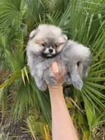 processed/679b1ee7-5b17-4d70-a120-afb70a466679/listing/f95f49b0-94d8-4346-8948-269fc0210ae2/e0ec44c6-bfc3-4763-b98e-0904096ad566