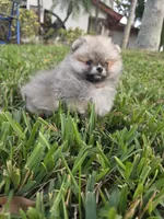 processed/679b1ee7-5b17-4d70-a120-afb70a466679/listing/f95f49b0-94d8-4346-8948-269fc0210ae2/e9b0c3b3-a89e-4a69-bdfa-48f4a62e5fad