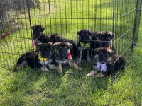 processed/67bb9928-4a5c-4ea9-9823-a514f54c1a93/facility/7bb37729-a868-46ce-acb1-8568122e2982