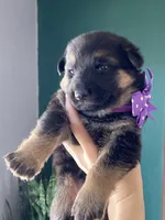 processed/67bb9928-4a5c-4ea9-9823-a514f54c1a93/listing/21b4797f-671a-4dd9-b05a-940d592533fa/9908f2a4-dd3a-4ab3-ab7e-8ef0d1897926