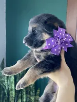 processed/67bb9928-4a5c-4ea9-9823-a514f54c1a93/listing/21b4797f-671a-4dd9-b05a-940d592533fa/fdf0cb4d-58e9-4611-aa82-a7badfa3ff79